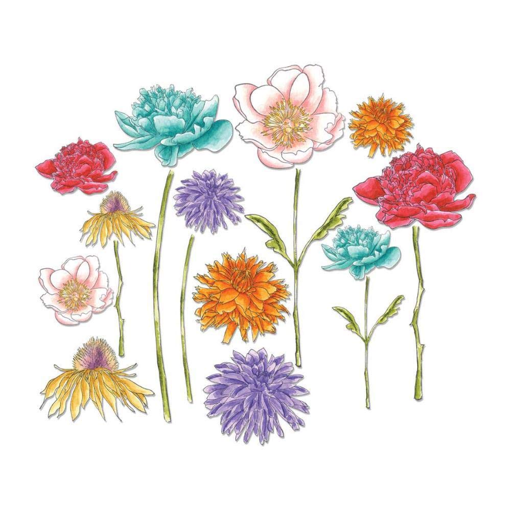 Amazon.com: Sizzix 661613 Framelits Die Set, Flower Garden & Mini